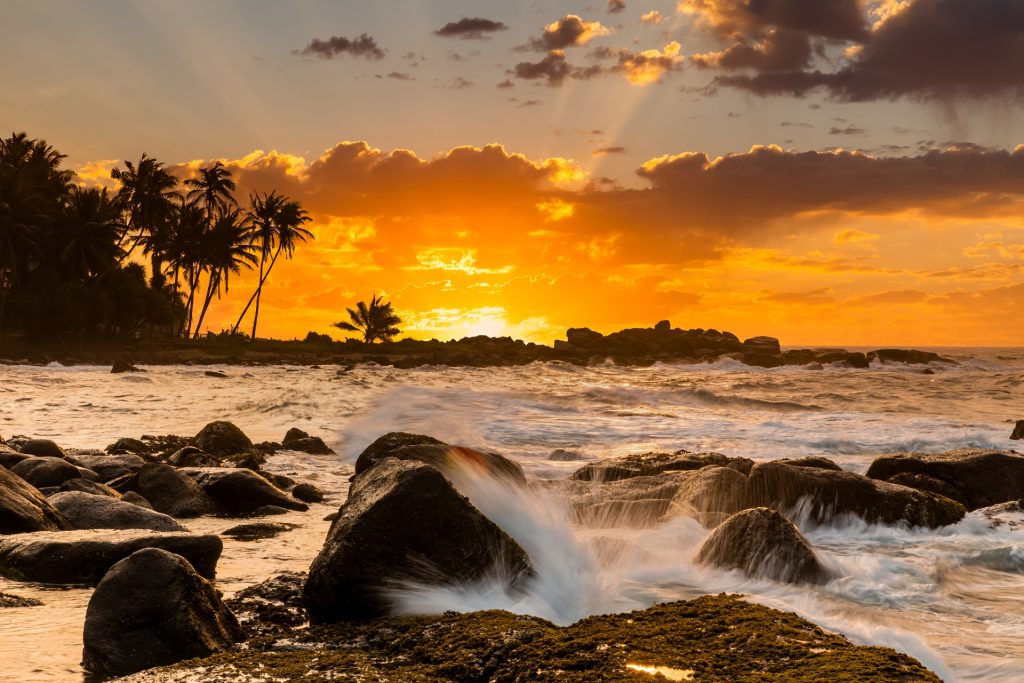 coucher de soleil sur la plage avec des palmiers sur une île des Caraïbes