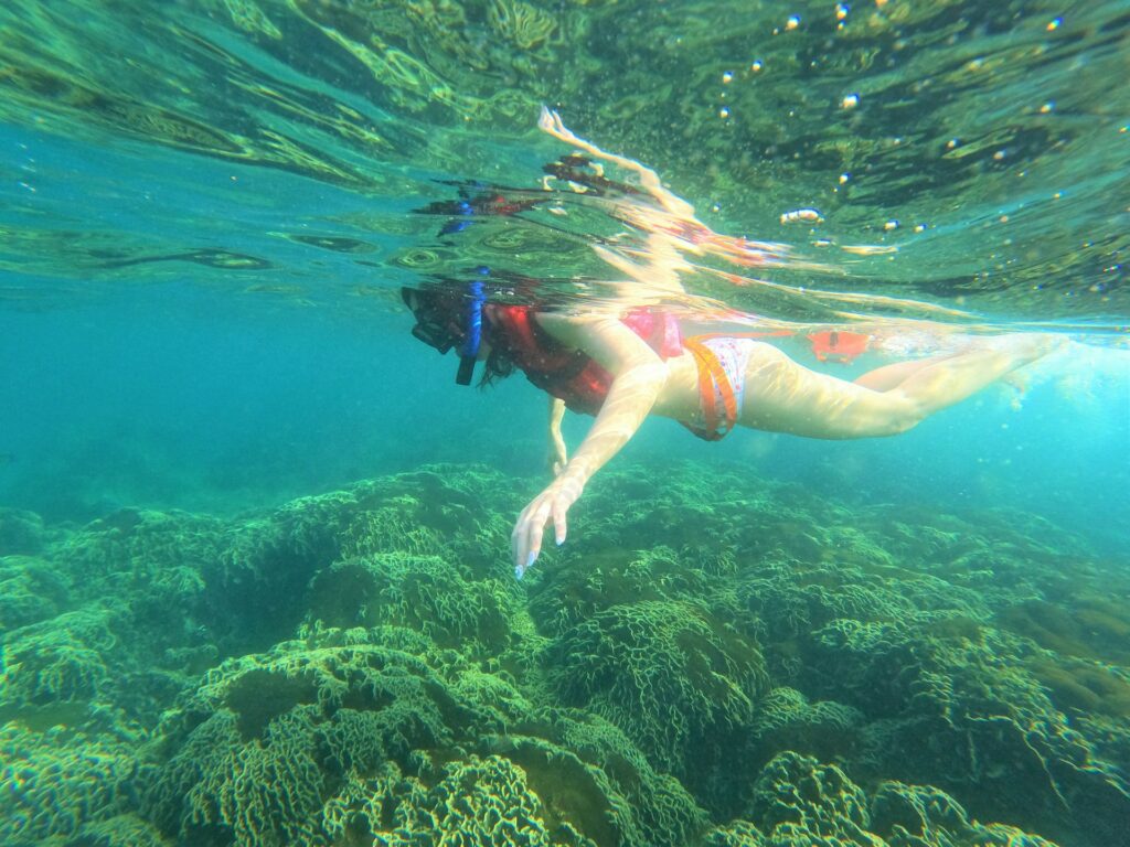 activité snorkeling
